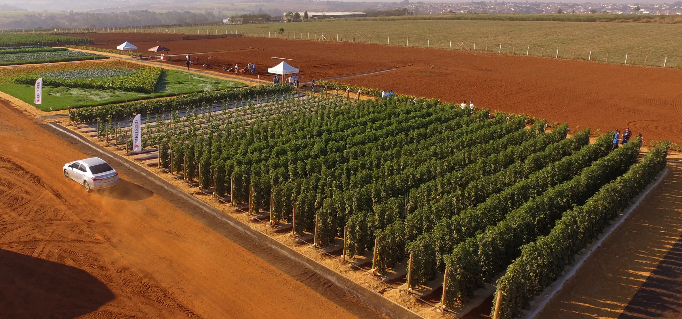 Tradição e inovação que cultivam o futuro