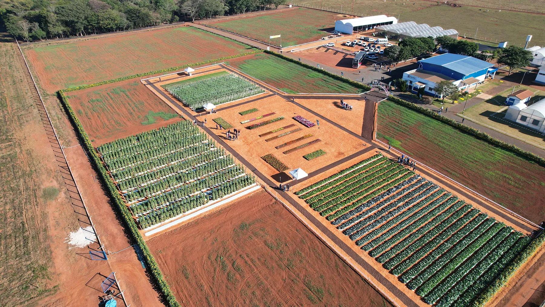 Tradição e inovação que cultivam o futuro