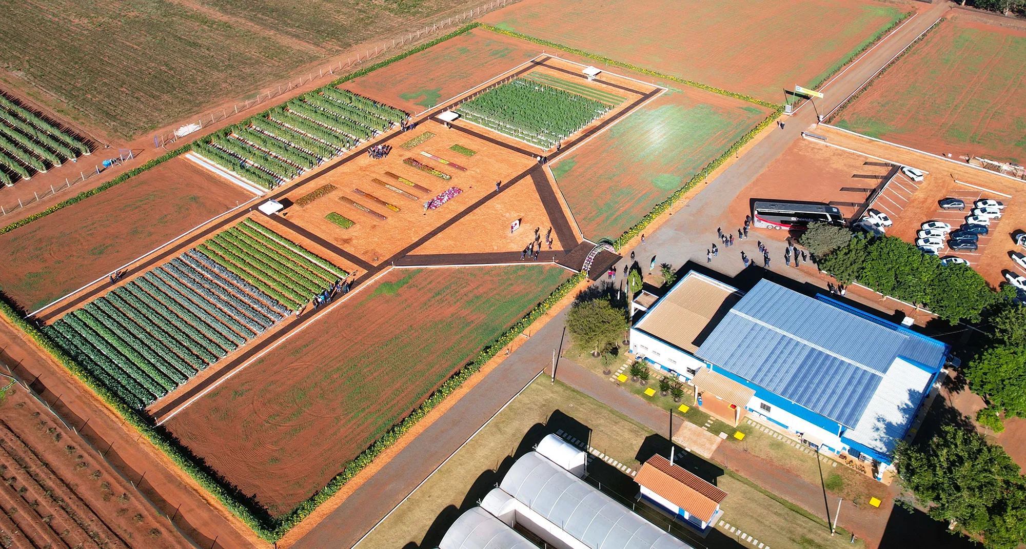 Da pesquisa ao campo, cultivando qualidade e produtividade