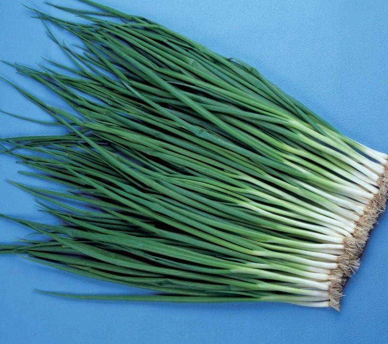 Kyosen Hossonegui Kyosen Hossonegui