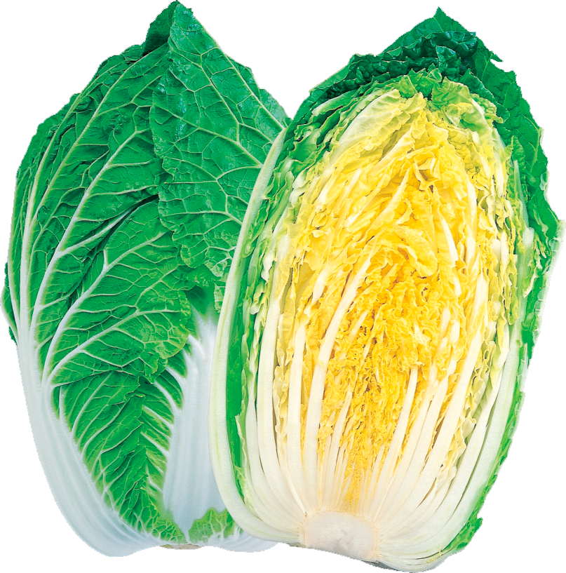 Kigokoro 65 Kigokoro 65