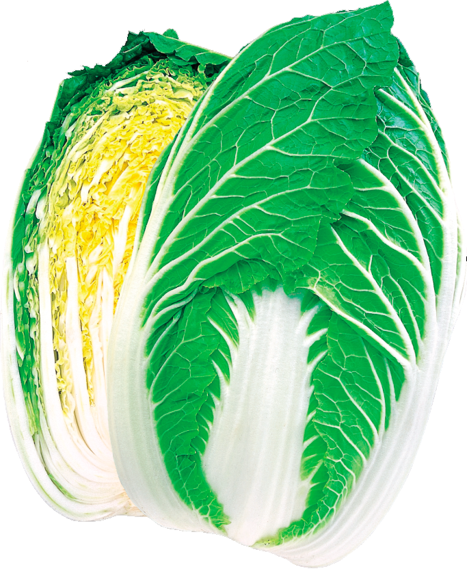 Kigokoro 75 Kigokoro 75