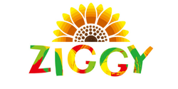 Ziggy