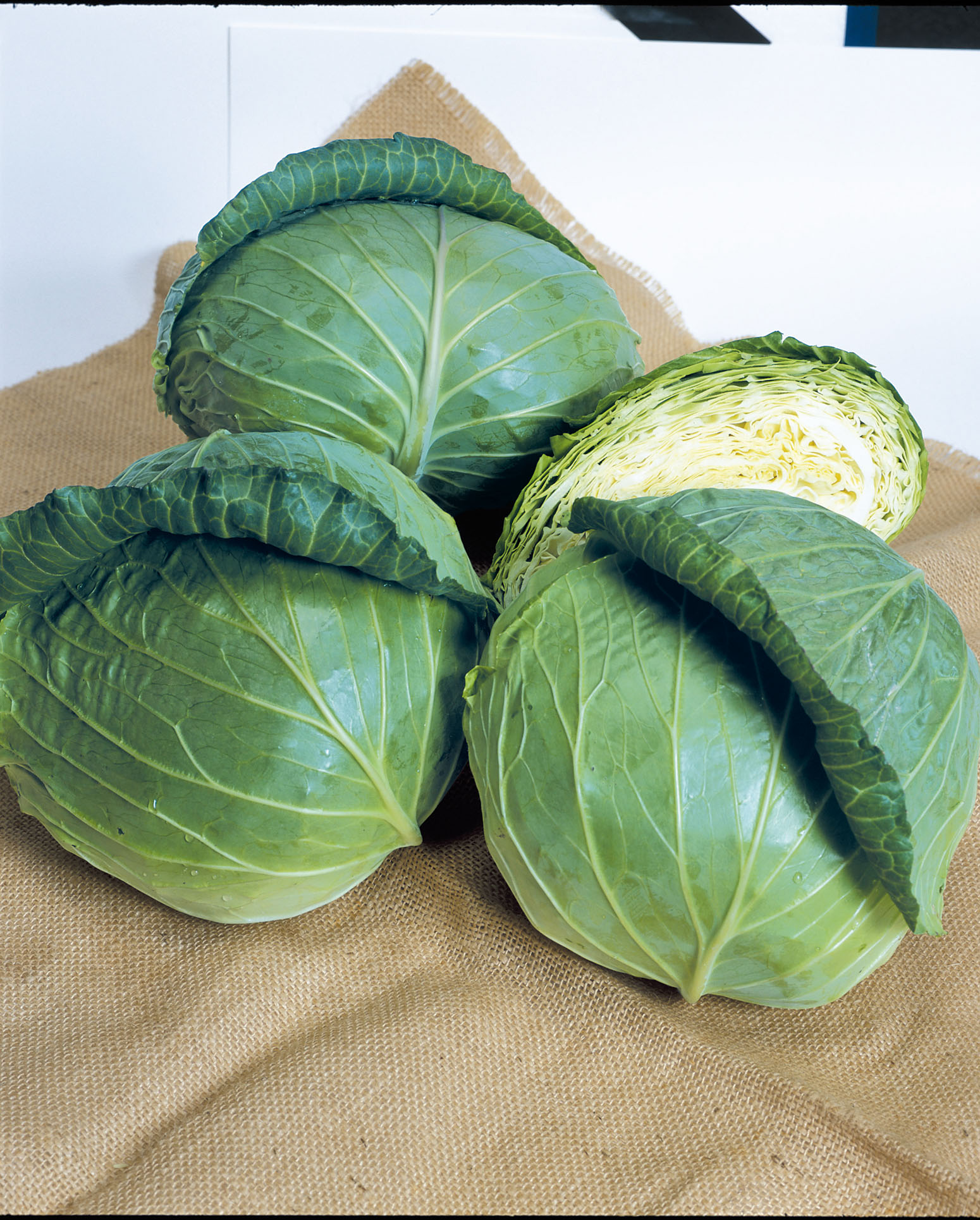 Repolho Shutoku Repolho Shutoku