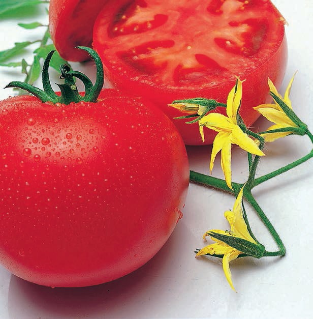 Momotaro Paz Momotaro Paz