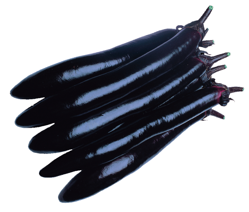 Shoya Long Shoya Long