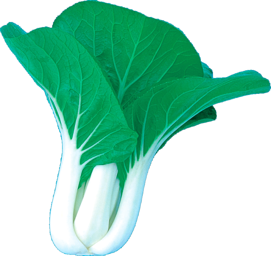 Pak-Choy (Branco) Pak-Choy (Branco)