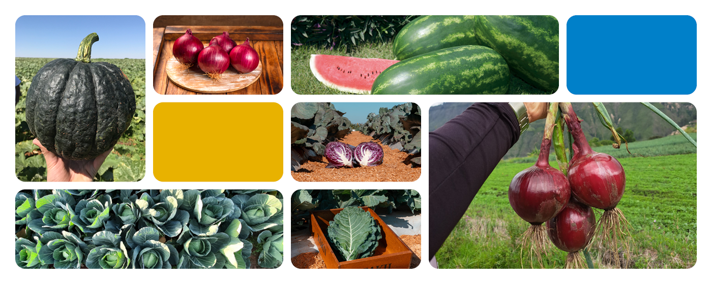 Há séculos cultivando inovação e qualidade